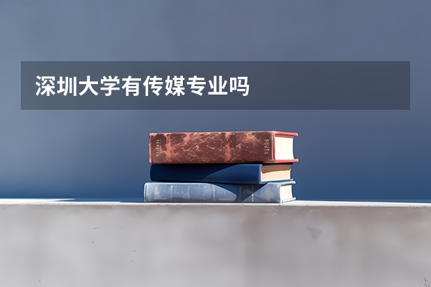 深圳大学有传媒专业吗