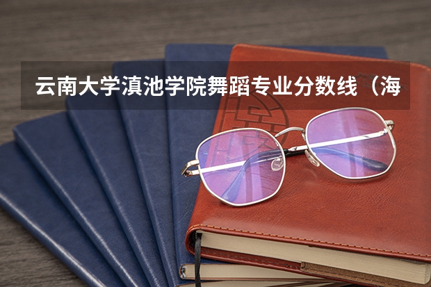 云南大学滇池学院舞蹈专业分数线（海南2024本科普通批院校专业组征集志愿投档线公布（含民族班和预科班））