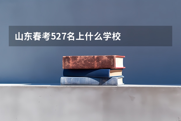 山东春考527名上什么学校