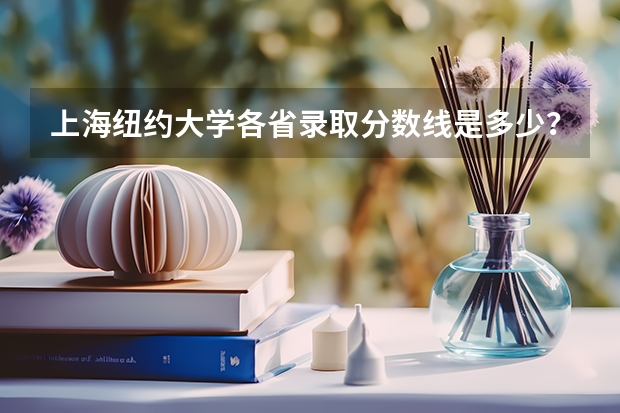 上海纽约大学各省录取分数线是多少？适合什么样的学生报考？