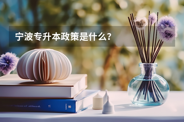 宁波专升本政策是什么？