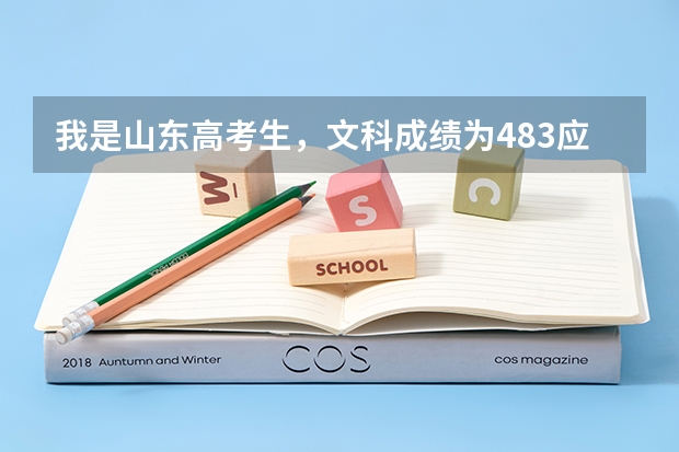 我是山东高考生，文科成绩为483.应该上什么大学