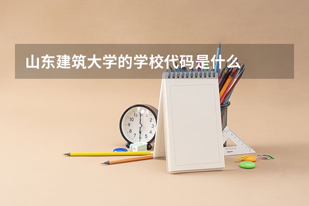 山东建筑大学的学校代码是什么