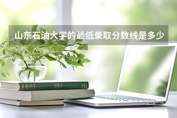 山东石油大学的最低录取分数线是多少？