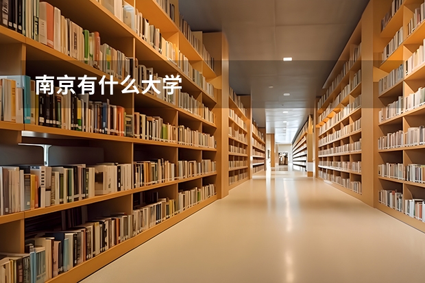 南京有什么大学