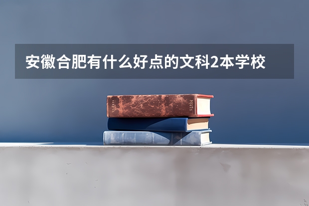 安徽合肥有什么好点的文科2本学校