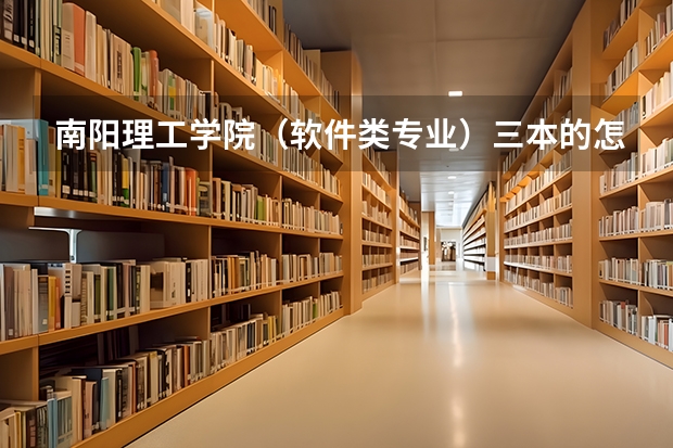 南阳理工学院（软件类专业）三本的怎么样？