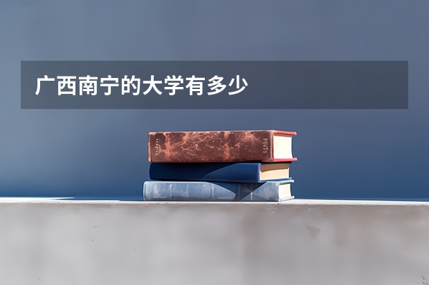 广西南宁的大学有多少