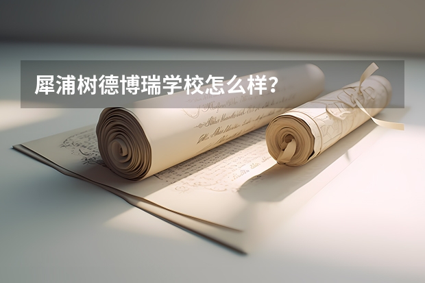 犀浦树德博瑞学校怎么样？