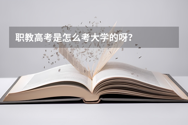 职教高考是怎么考大学的呀？