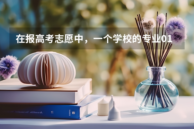 在报高考志愿中，一个学校的专业01,02,03等的区别在哪？大学录取专业代号02（专业代号怎样填写才正确）