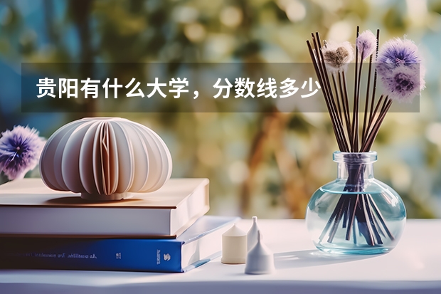 贵阳有什么大学，分数线多少