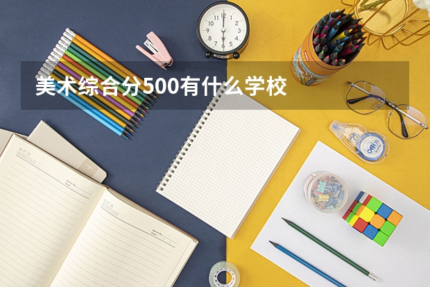 美术综合分500有什么学校