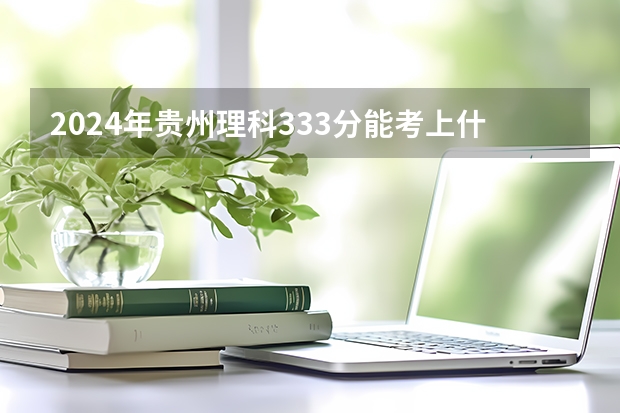 2024年贵州理科333分能考上什么大学？