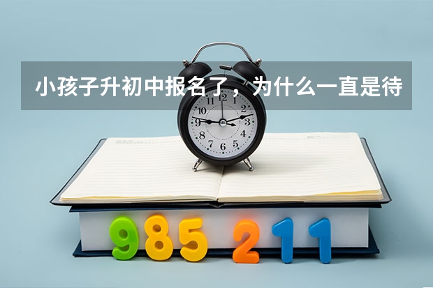 小孩子升初中报名了，为什么一直是待审核状态？