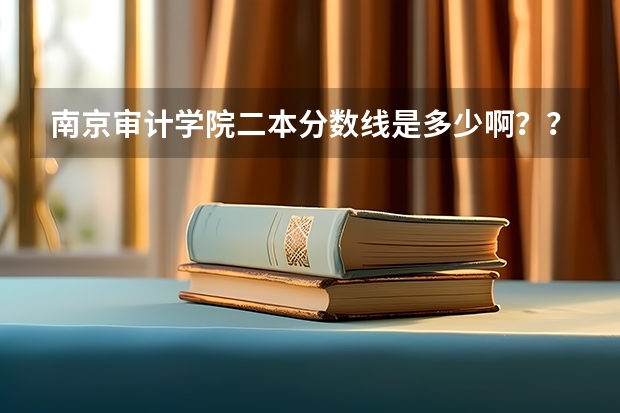 南京审计学院二本分数线是多少啊？？求答