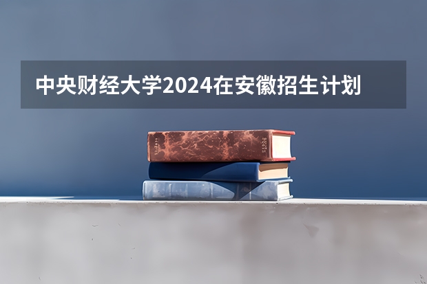 中央财经大学2024在安徽招生计划