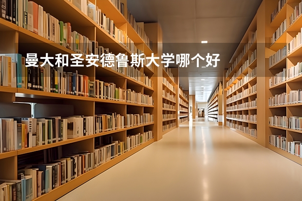 曼大和圣安德鲁斯大学哪个好