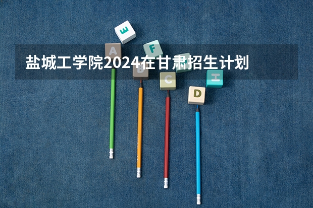 盐城工学院2024在甘肃招生计划