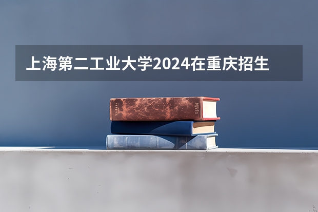 上海第二工业大学2024在重庆招生计划