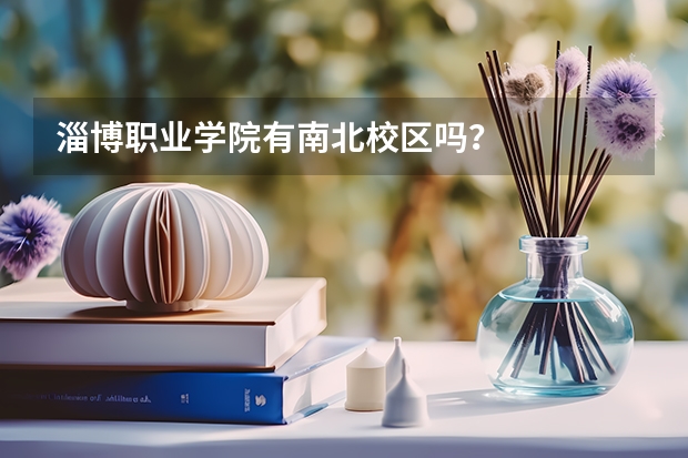 淄博职业学院有南北校区吗？