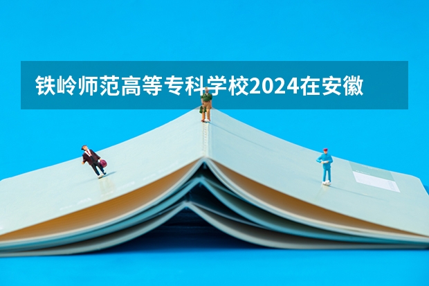 铁岭师范高等专科学校2024在安徽招生计划