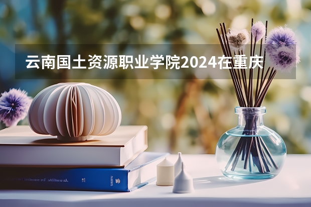 云南国土资源职业学院2024在重庆招生计划