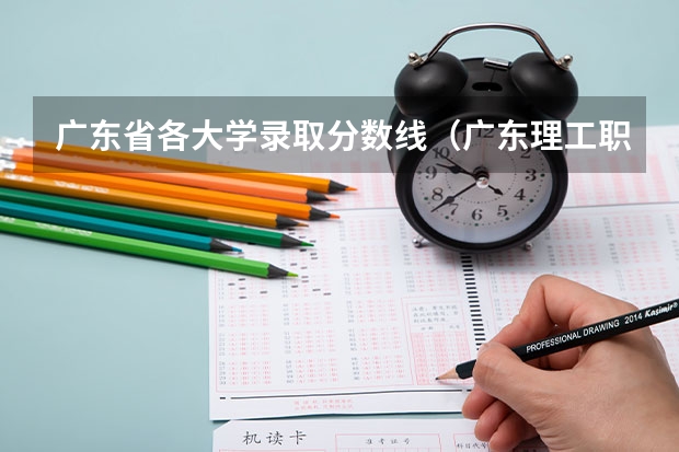 广东省各大学录取分数线（广东理工职业学院录取线）