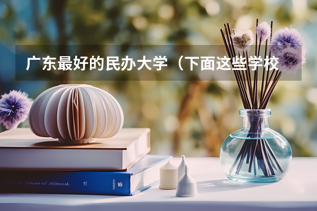 广东最好的民办大学（下面这些学校 帮我选择一个）