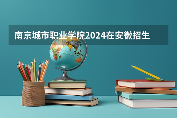 南京城市职业学院2024在安徽招生计划