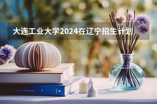 大连工业大学2024在辽宁招生计划