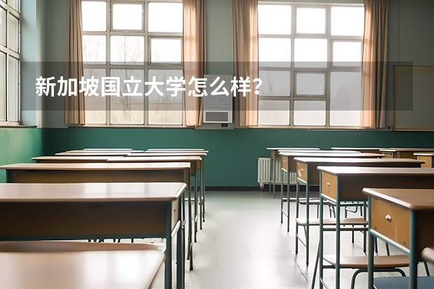 新加坡国立大学怎么样？