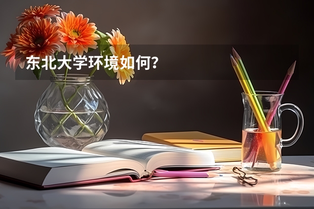 东北大学环境如何？