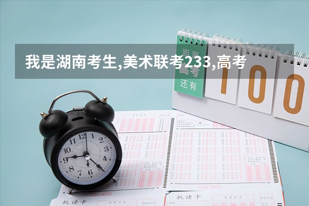 我是湖南考生,美术联考233,高考412,请问可以填什么学校?