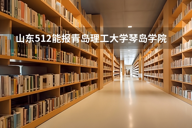 山东512能报青岛理工大学琴岛学院吗？谢谢