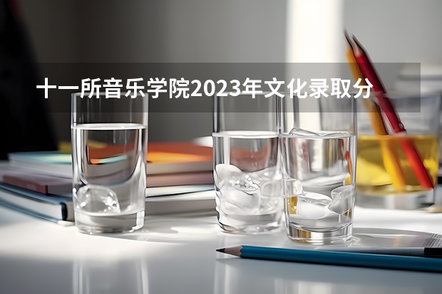 十一所音乐学院2023年文化录取分数线汇总 武汉音乐学院分数线