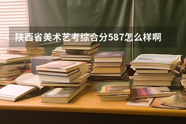 陕西省美术艺考综合分587怎么样啊