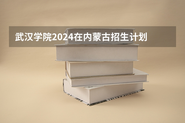 武汉学院2024在内蒙古招生计划