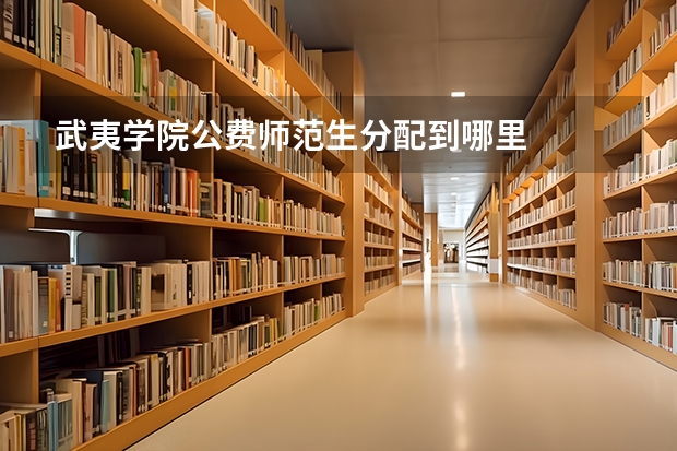 武夷学院公费师范生分配到哪里