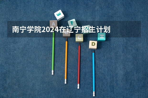 南宁学院2024在辽宁招生计划