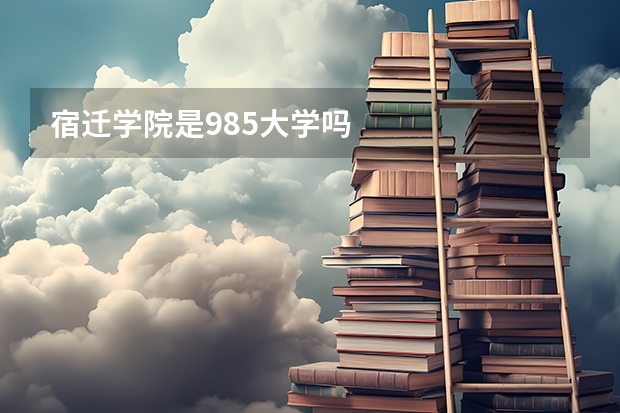 宿迁学院是985大学吗