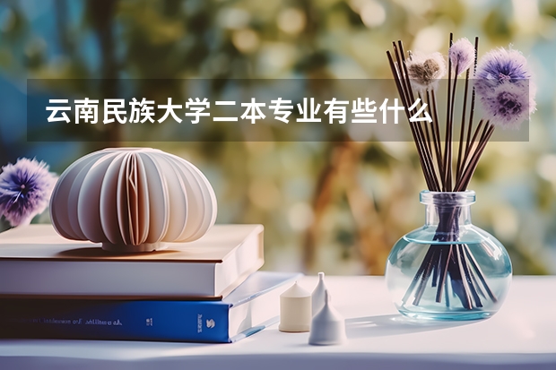 云南民族大学二本专业有些什么