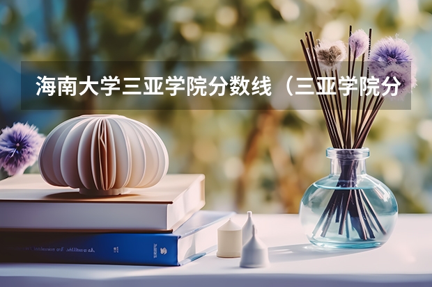 海南大学三亚学院分数线（三亚学院分数线）