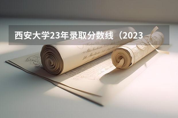 西安大学23年录取分数线（2023年大学文科录取线）