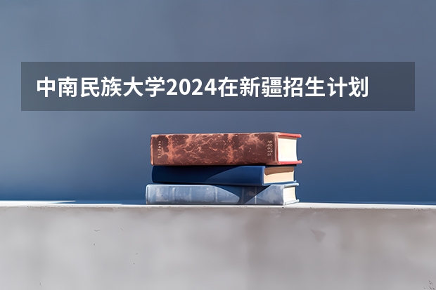 中南民族大学2024在新疆招生计划