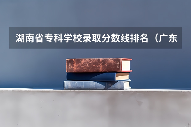 湖南省专科学校录取分数线排名（广东专科院校录取分数线排名）