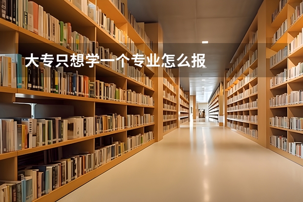 大专只想学一个专业怎么报