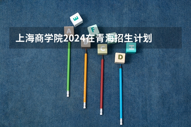 上海商学院2024在青海招生计划