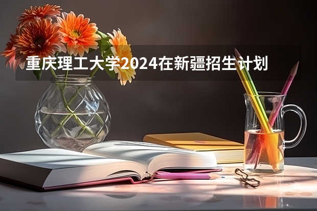 重庆理工大学2024在新疆招生计划