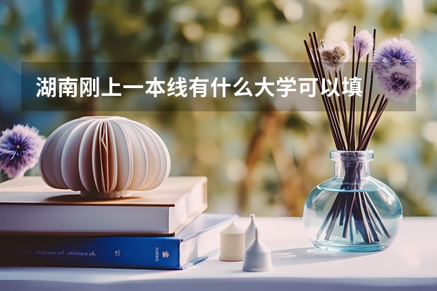 湖南刚上一本线有什么大学可以填